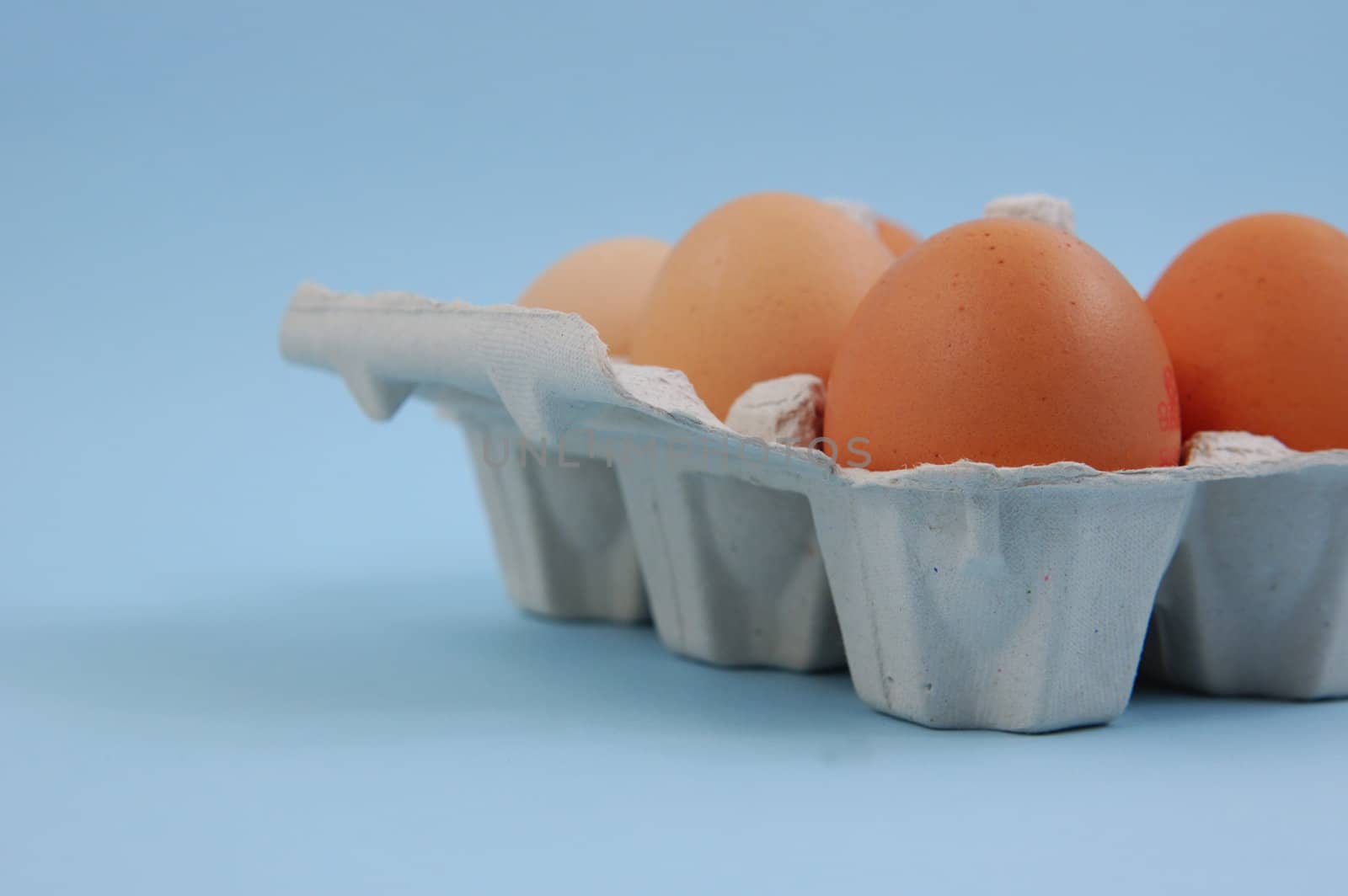 Eggs in paper carton by maggiemolloy