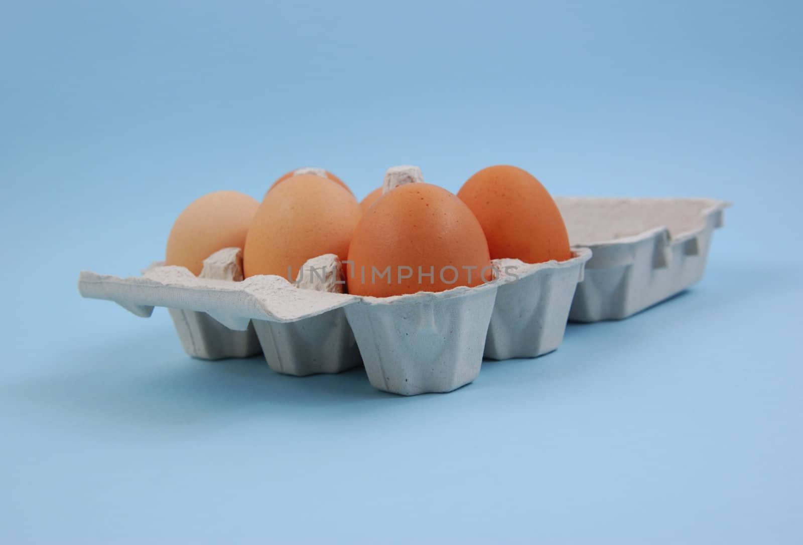 Eggs in paper carton
eggs on blue background