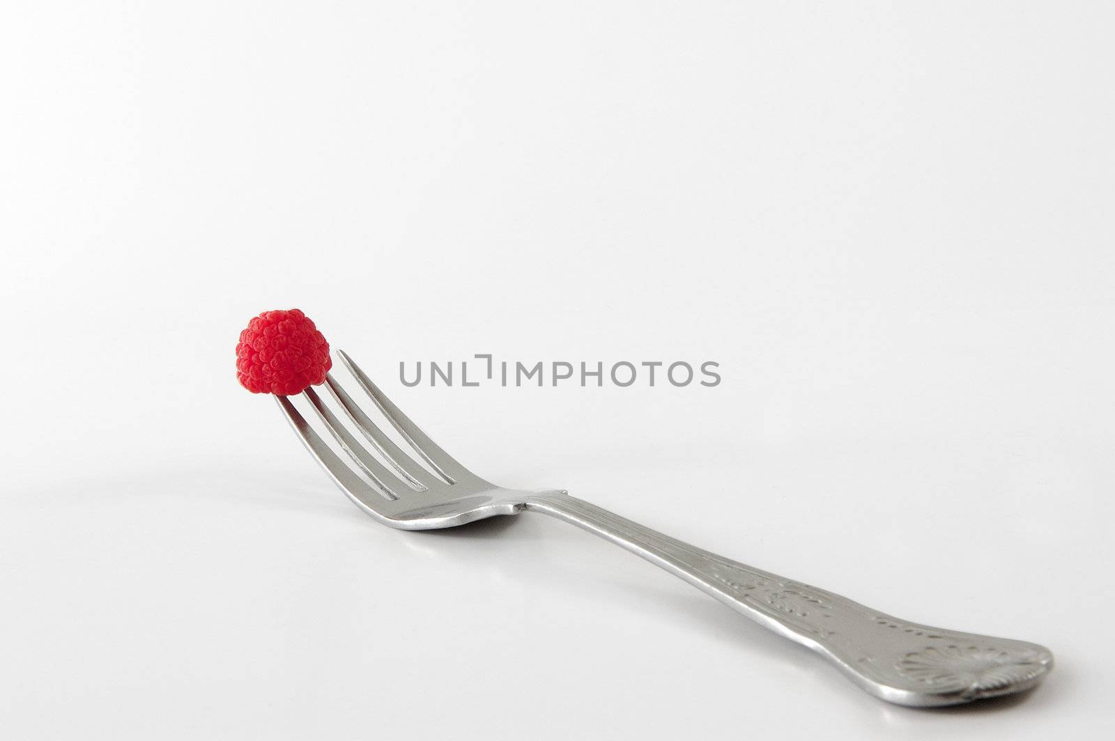 raspberry on fork diet concept by maggiemolloy