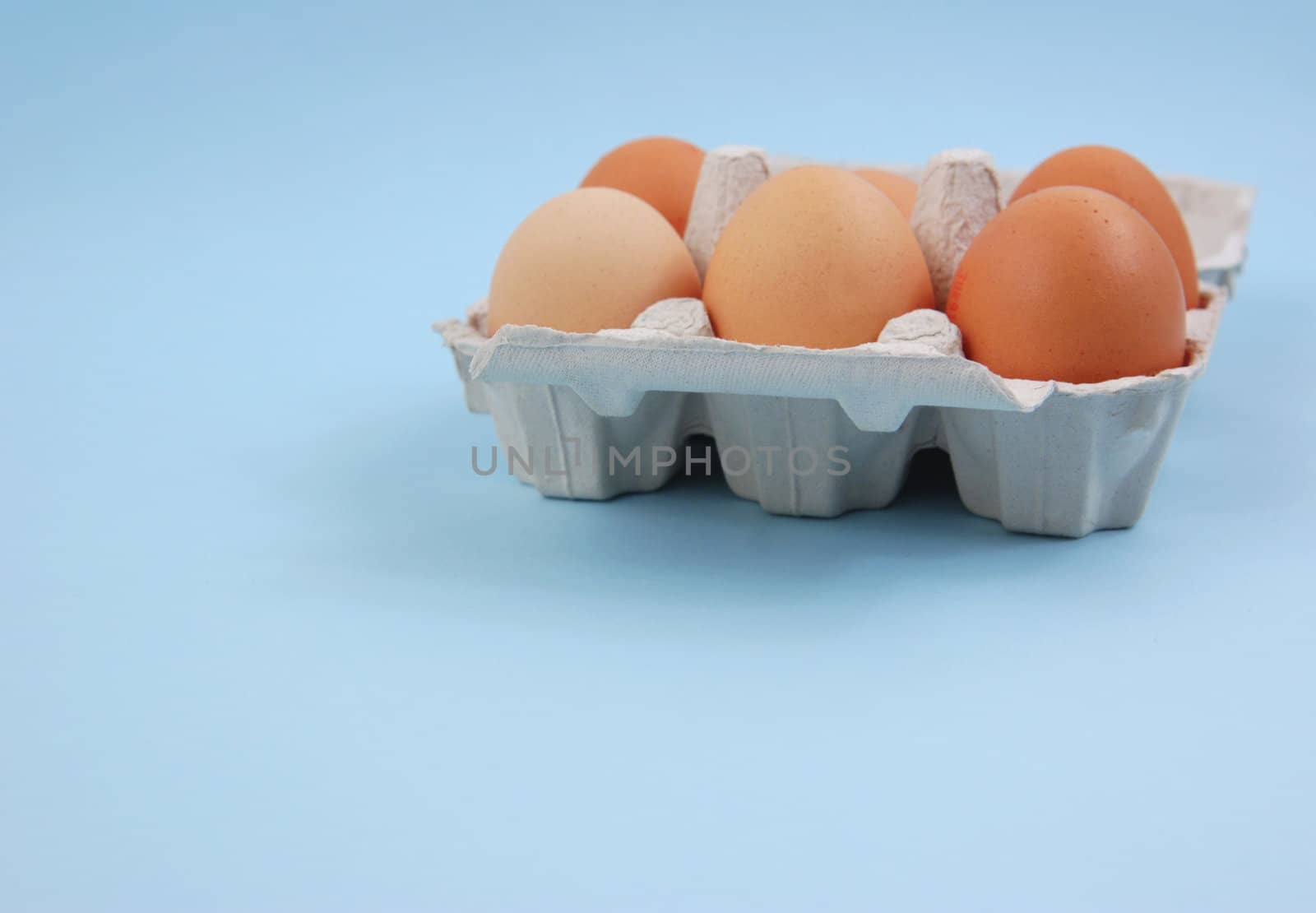 Half Dozen Eggs in Carton
eggs on blue background
