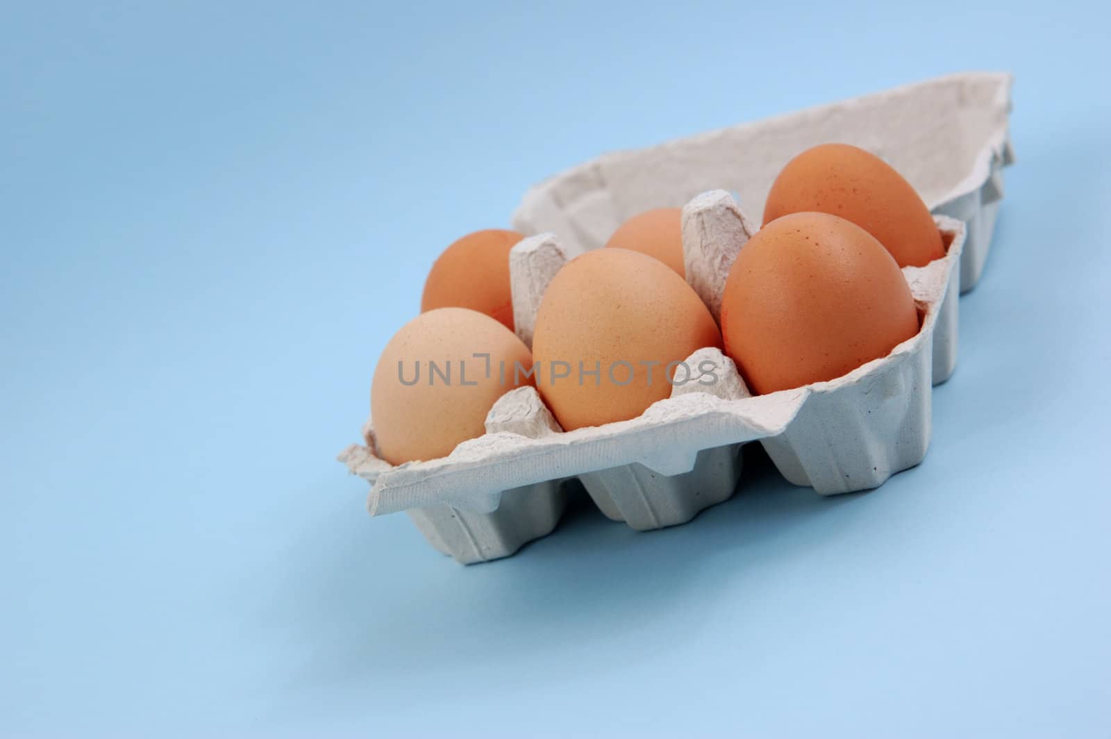 Eggs in Carton on Blue Background by maggiemolloy