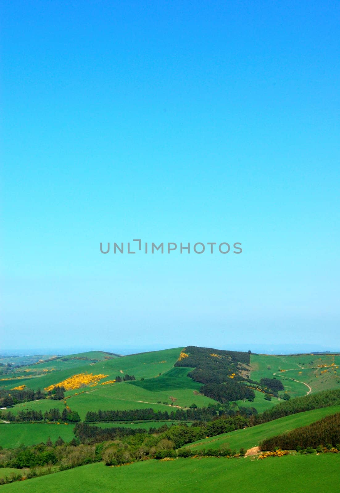 Irish Rural Fields Landscape by maggiemolloy