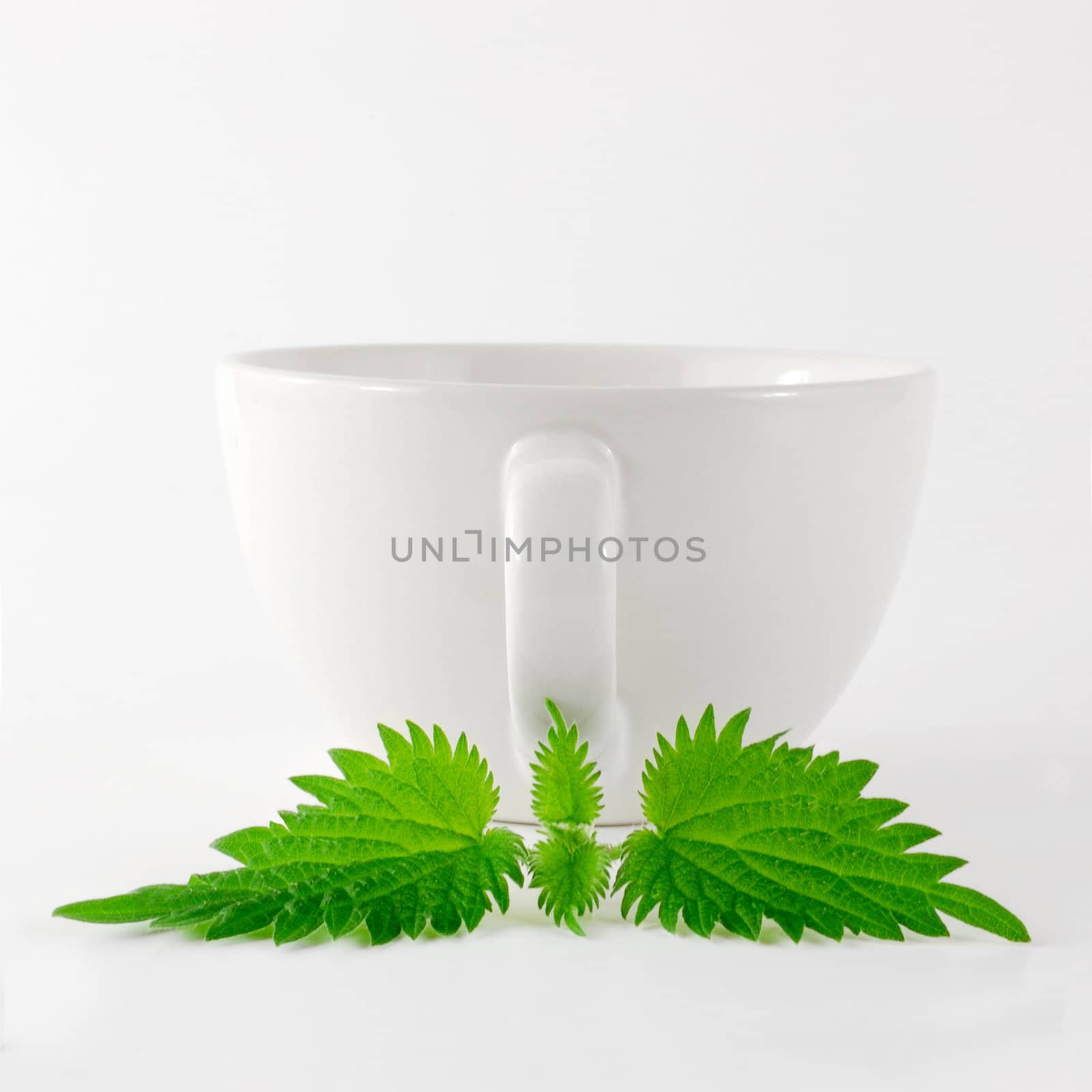 White china mug with nettle leaf in front of it