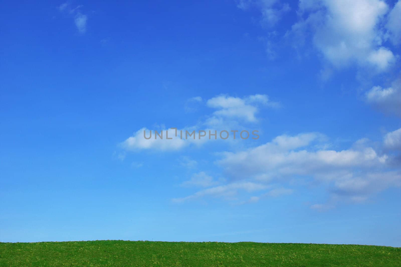 grass with blue sky by maggiemolloy