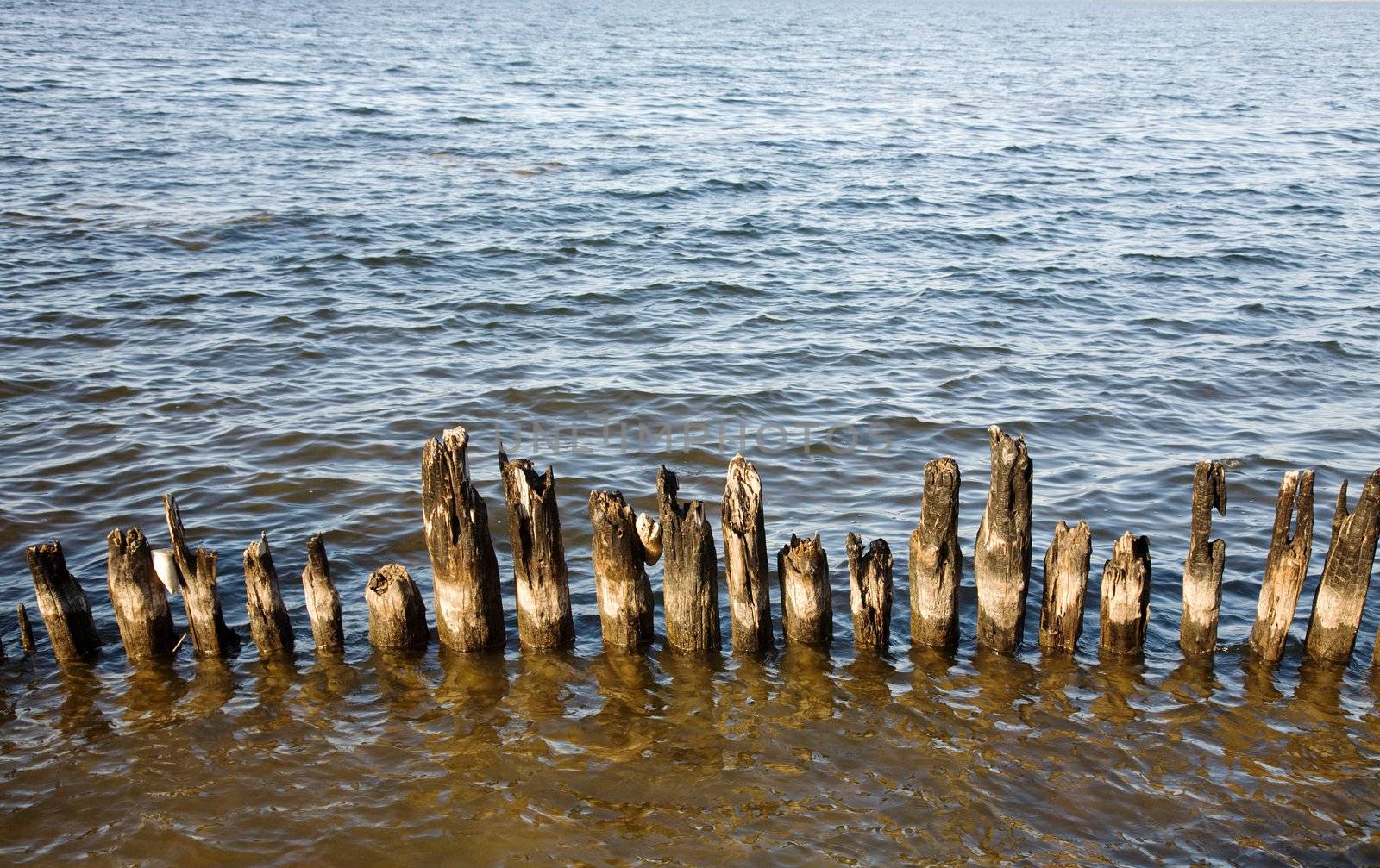 Old rotten columns in lake