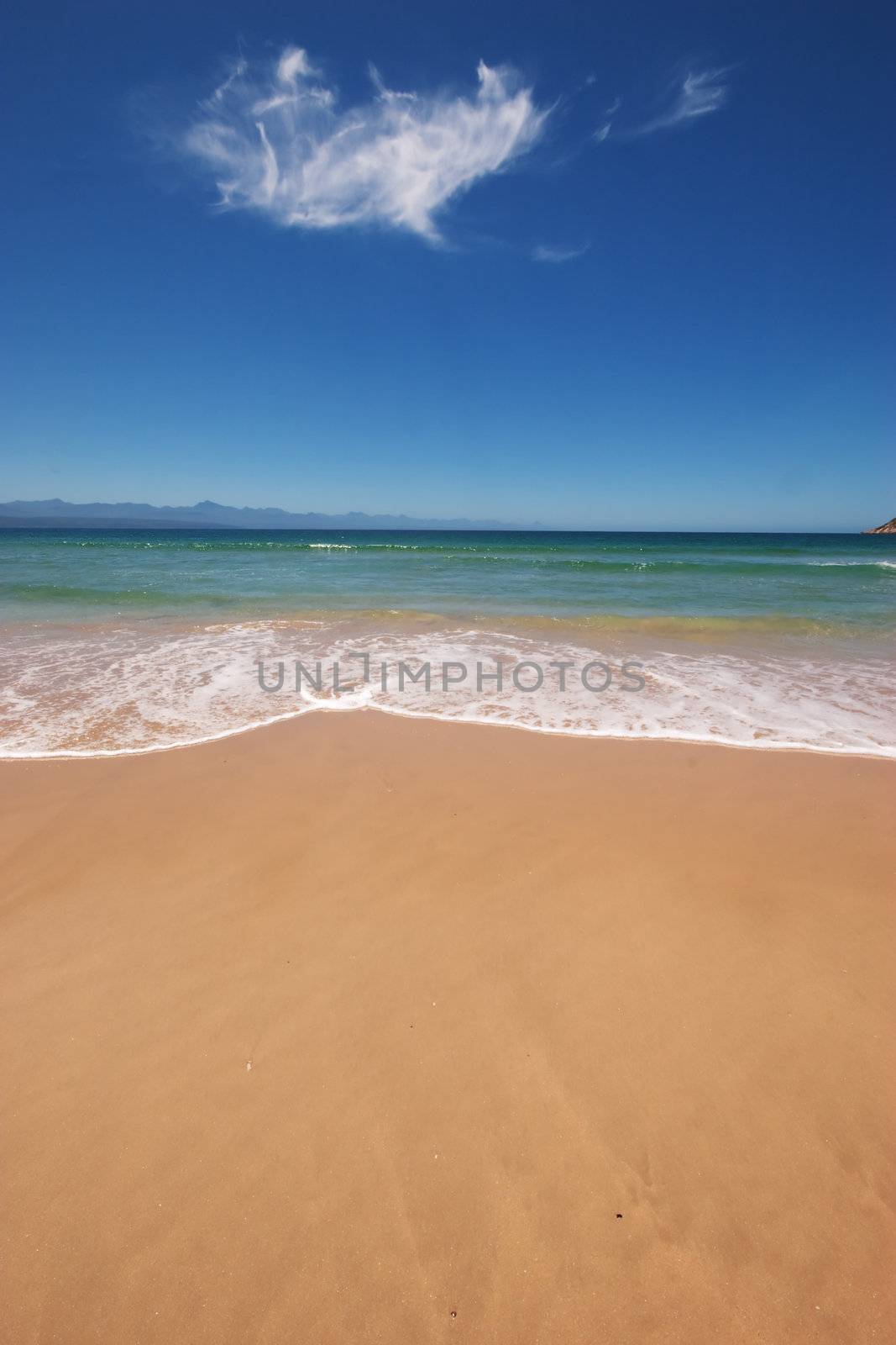 Vertical shot of beach in South Africa on a sunny day