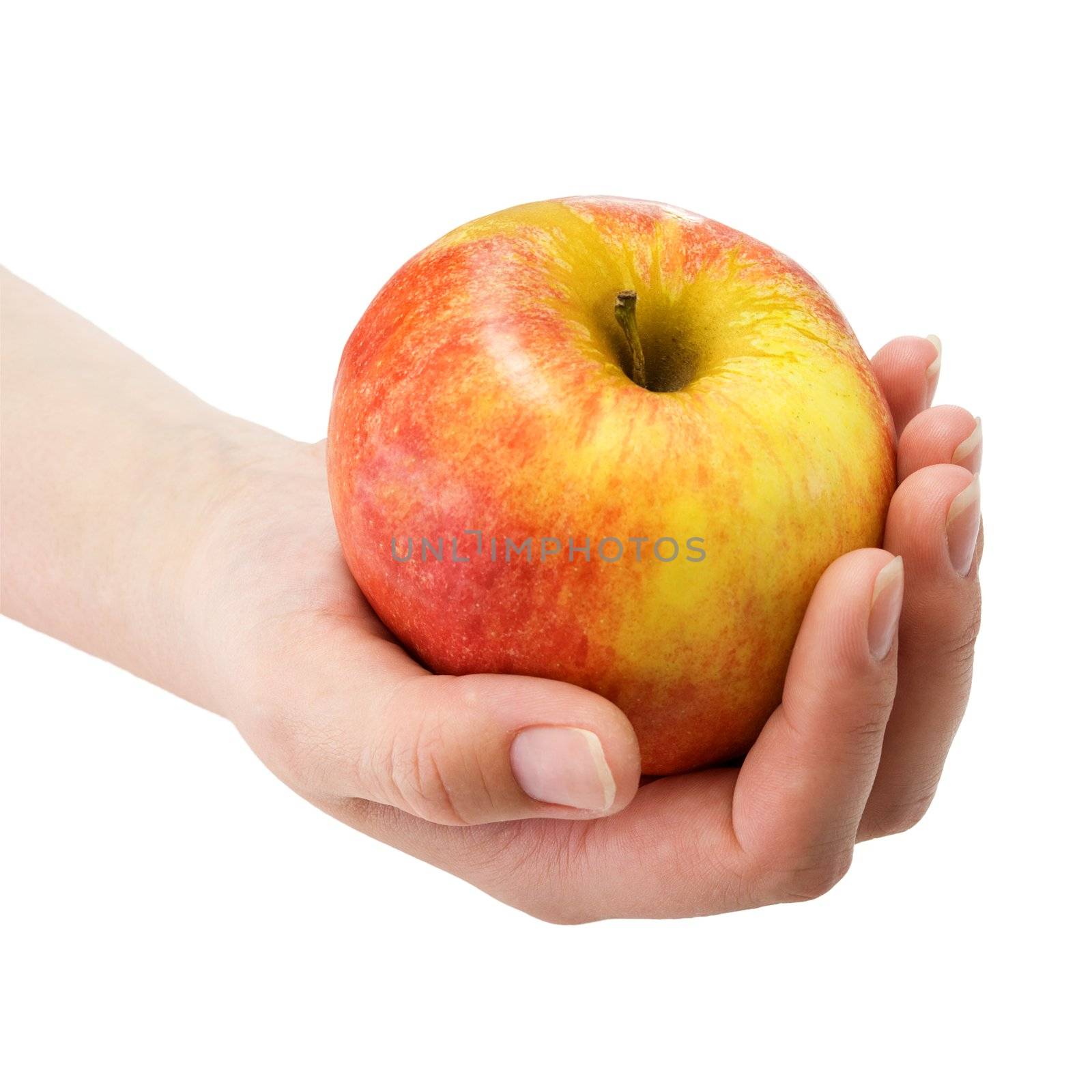 Hand holding red with yellow sidewise an apple on a white background