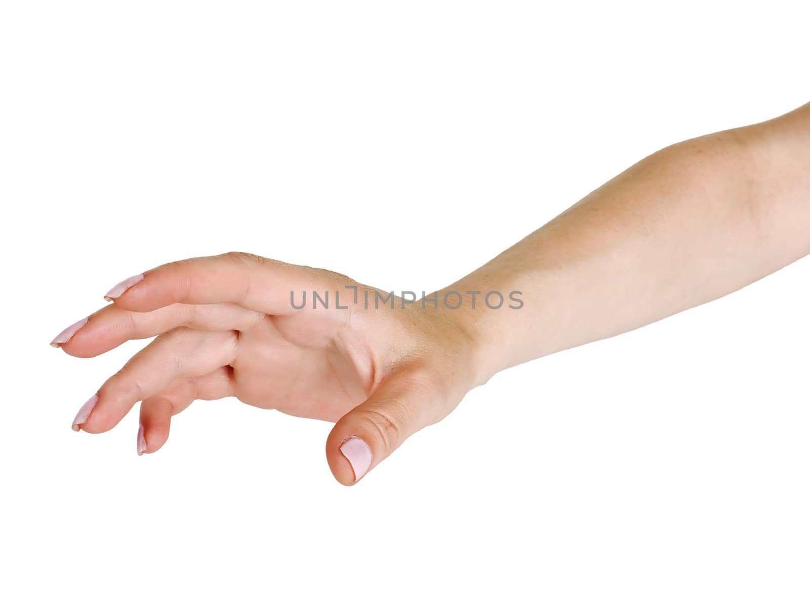 Female hand photographed on a white background