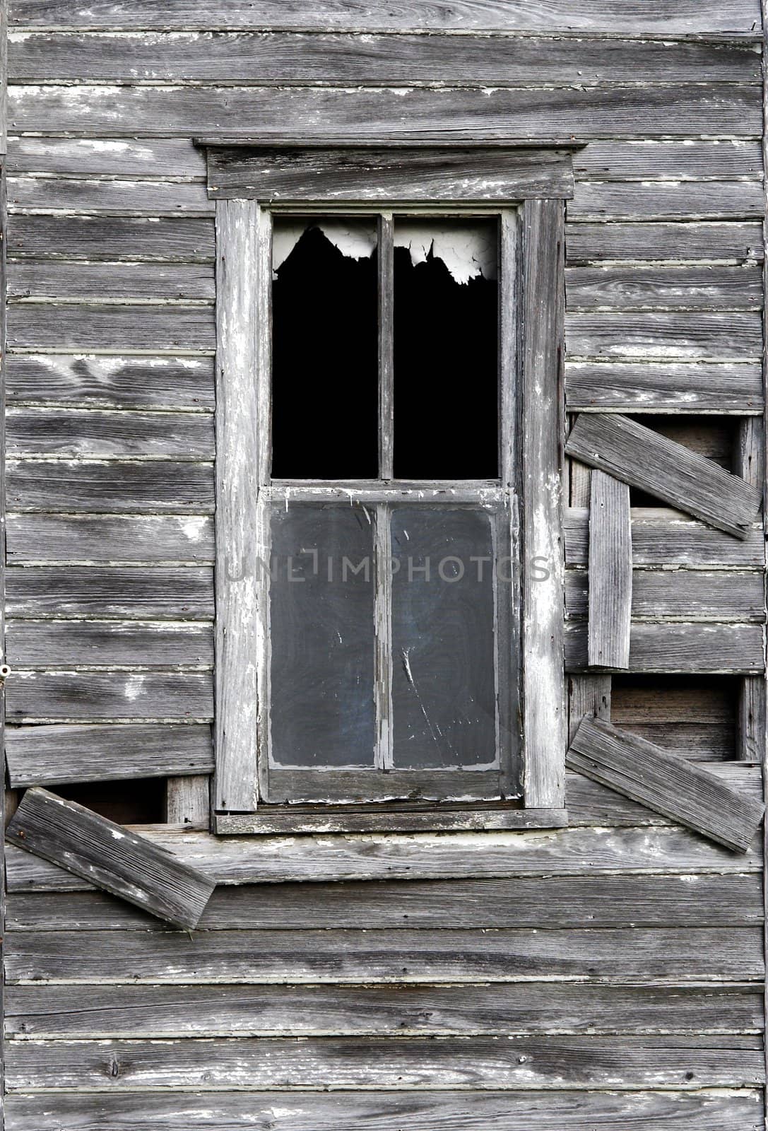 the window by gjdisplay