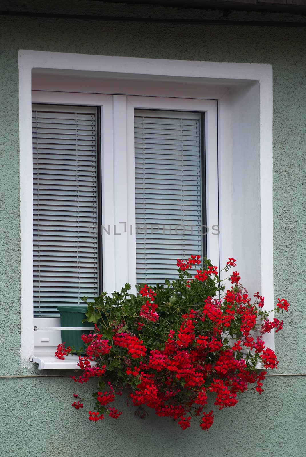Closed white wooden windows shutters with a window sill decorated by colors