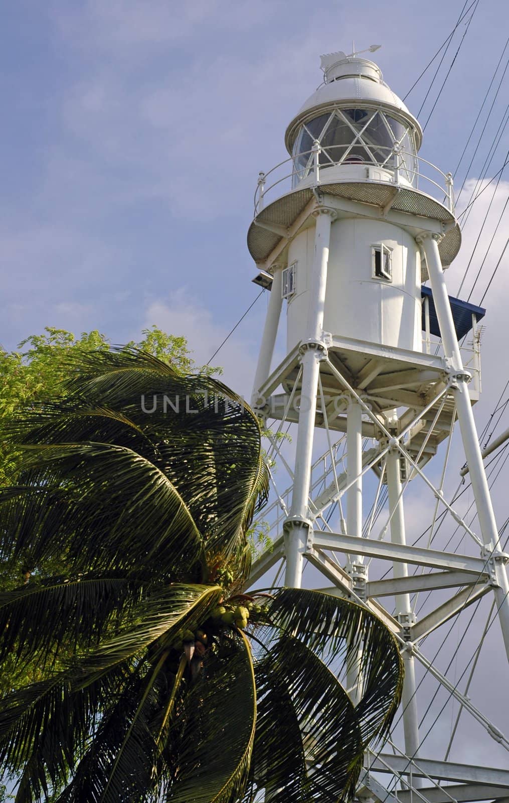 white lighthouse and trees in bright sunny day