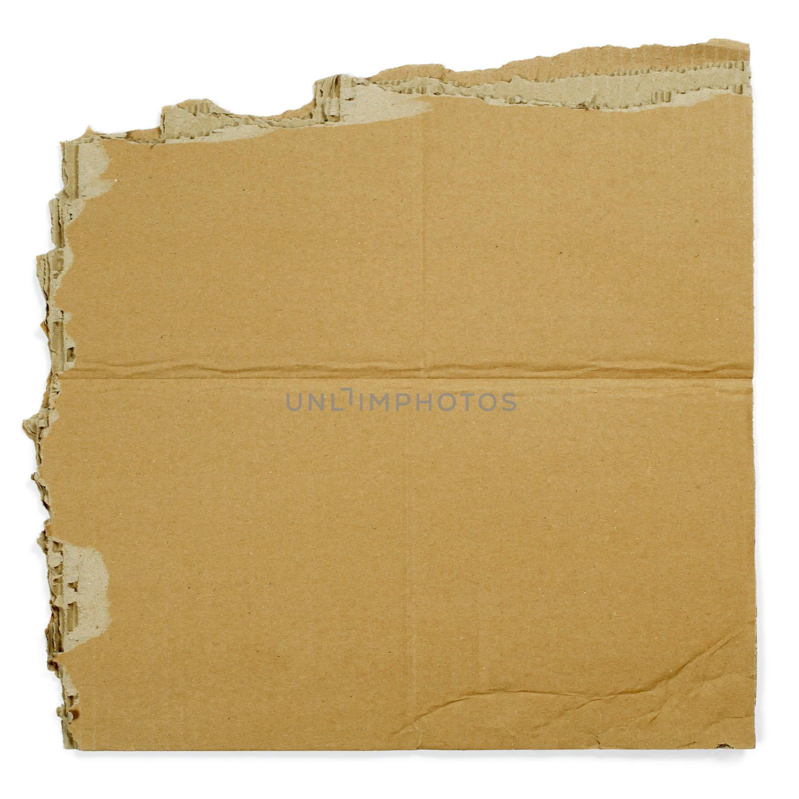 Torn isolated section of a corrugated shipping carton. Background for writing / shipping.
