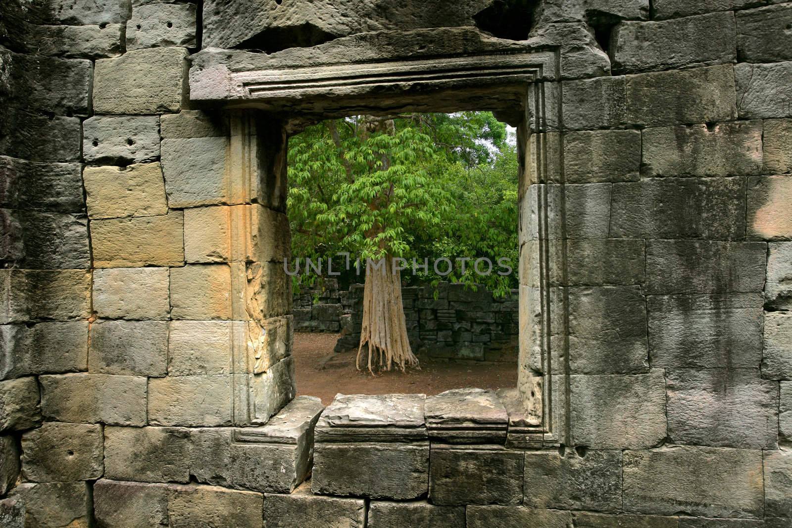 A tree outside a window of an ancient stone wall in Siem Reap, Cambodia.
