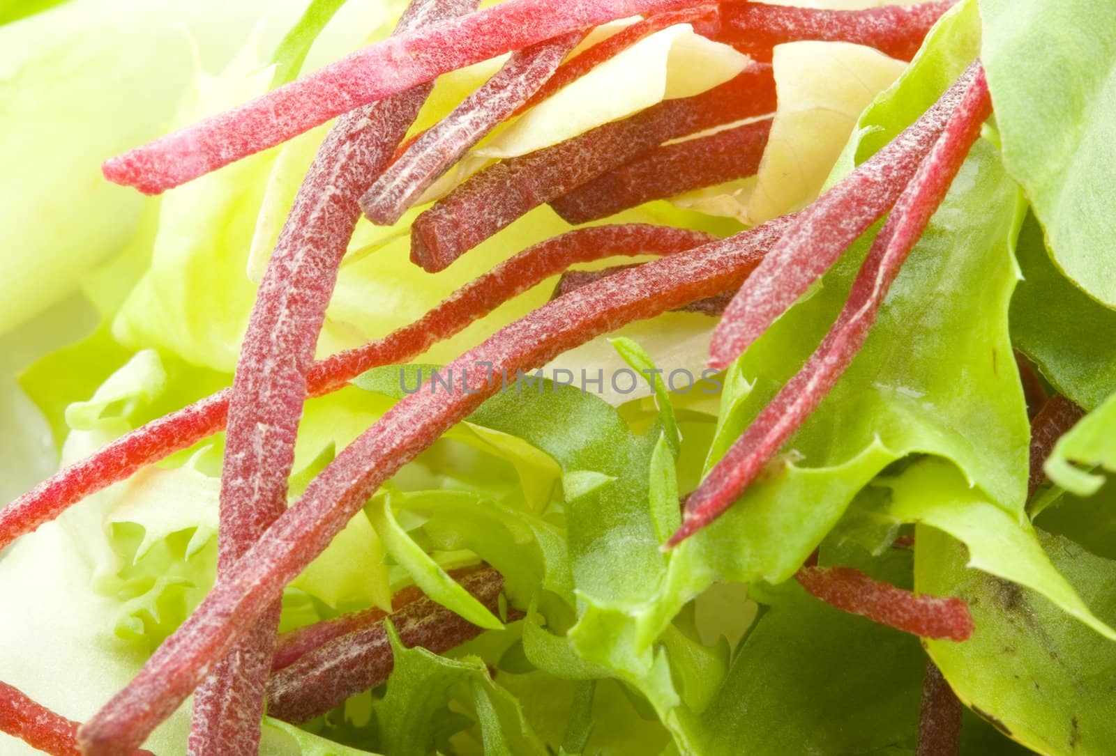 green vegetable salad - healthy eating - close up