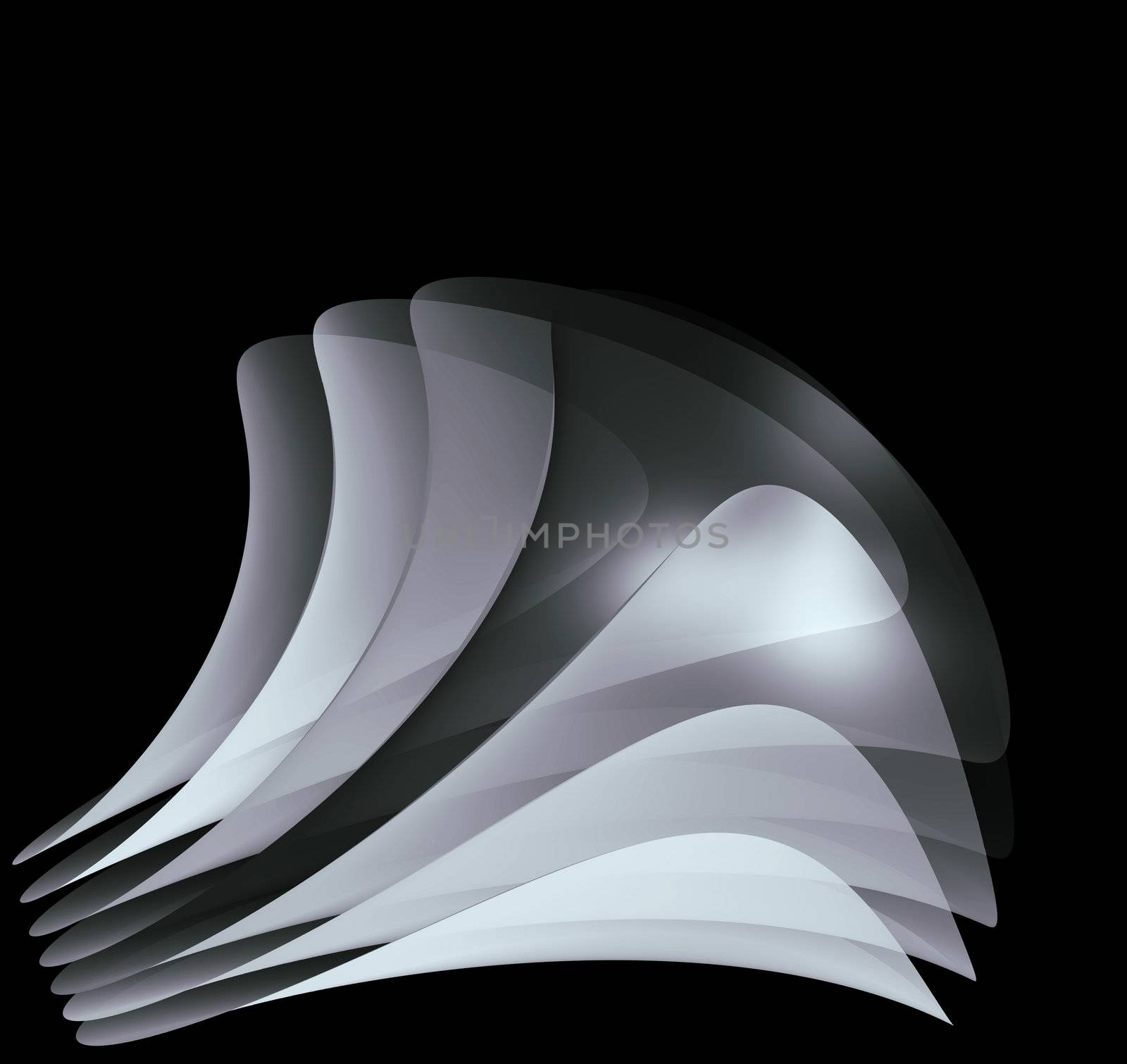 abstract monochrome fan by screenexa