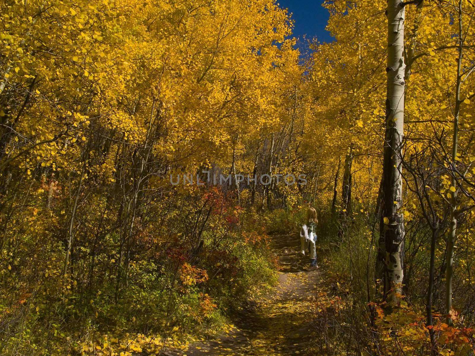 A child stops to view with awe the vibrant beauty of the woods in autumn.