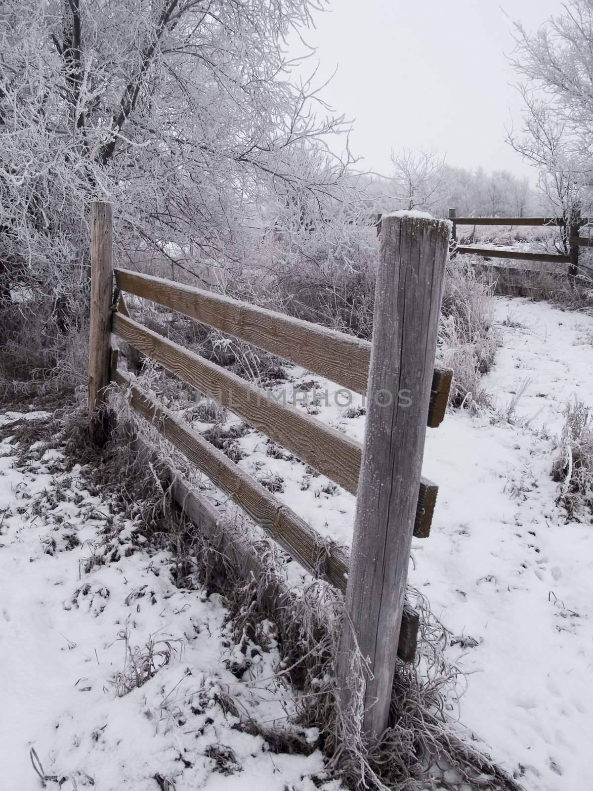 A frosted morning in rural South Dakota