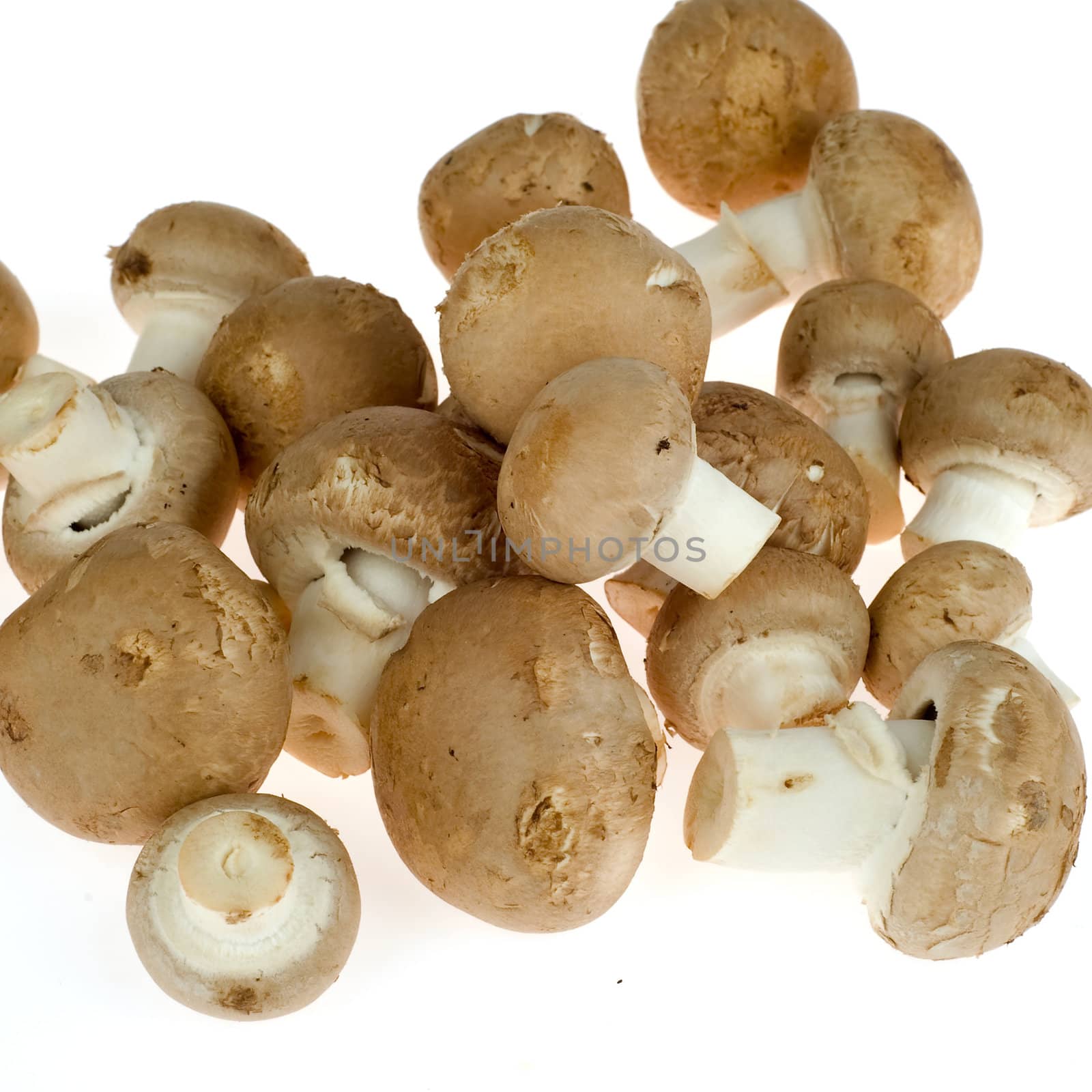a lot of chestnut mushrooms on white