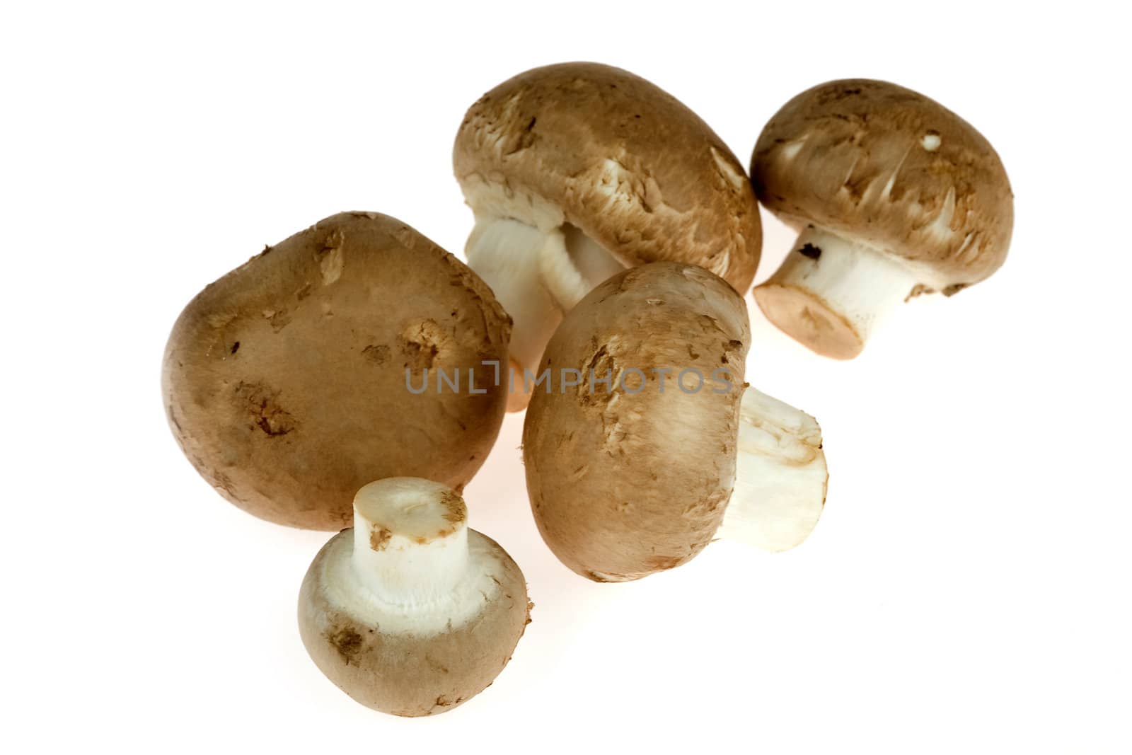 A lot of chestnut mushrooms