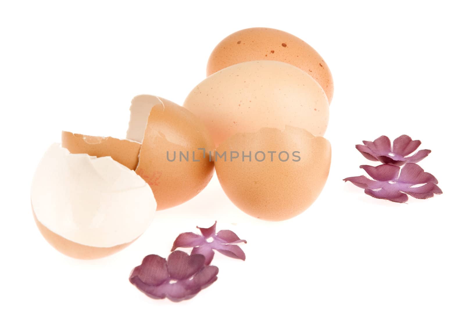 two boiled egg and eggshells on a white background