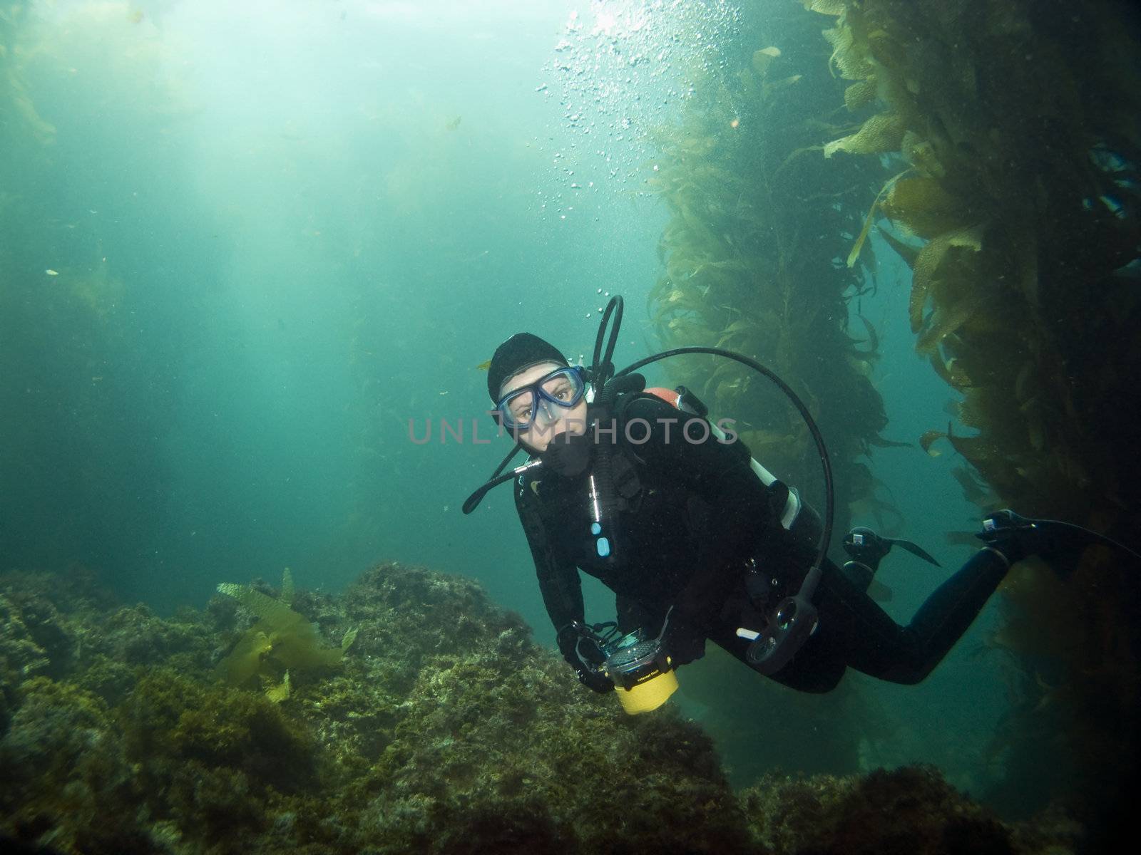 Scuba Diver looking into the camera in Catalina