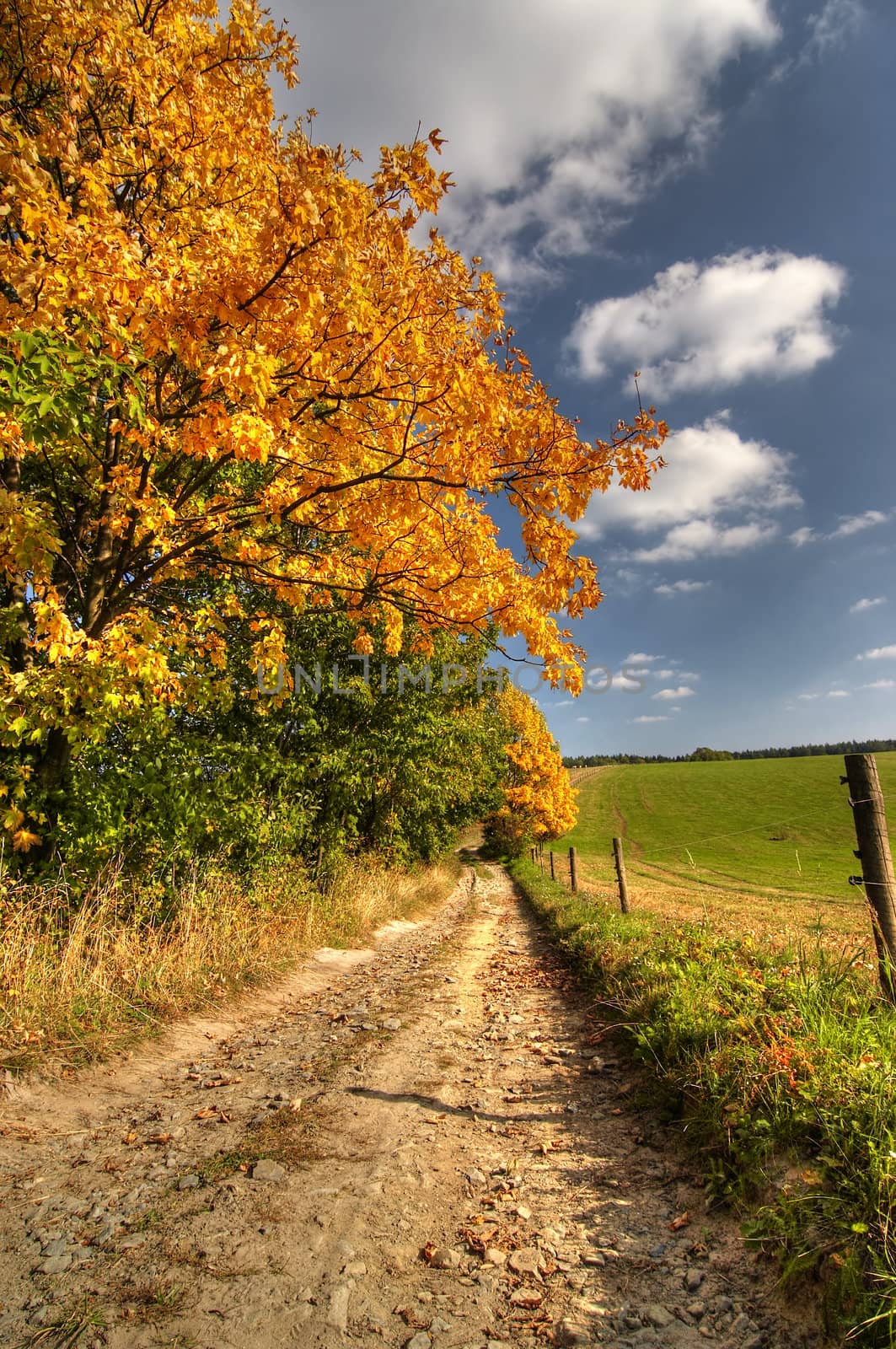 Cart-road and autumn landscape - fall colors