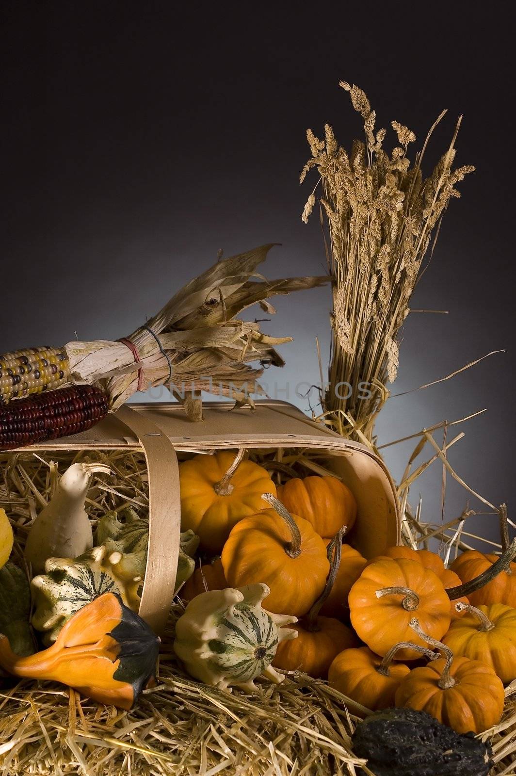 arrangement of squash and corn on a haystack