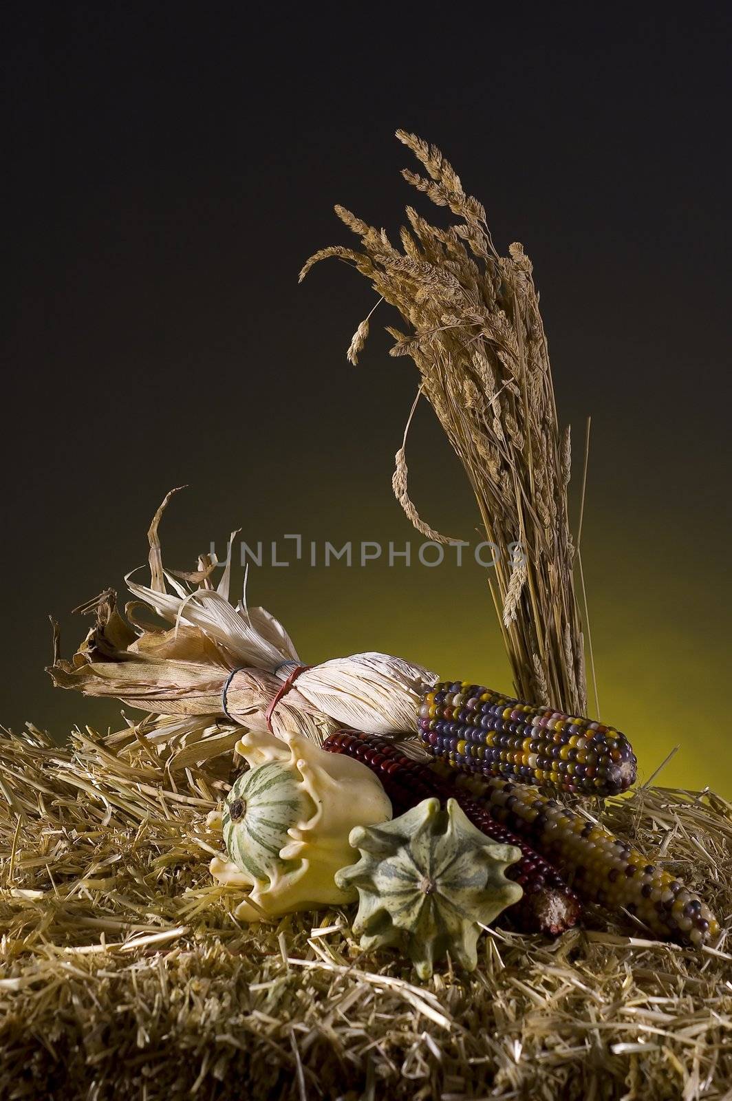 arrangement of squash and corn on a haystack