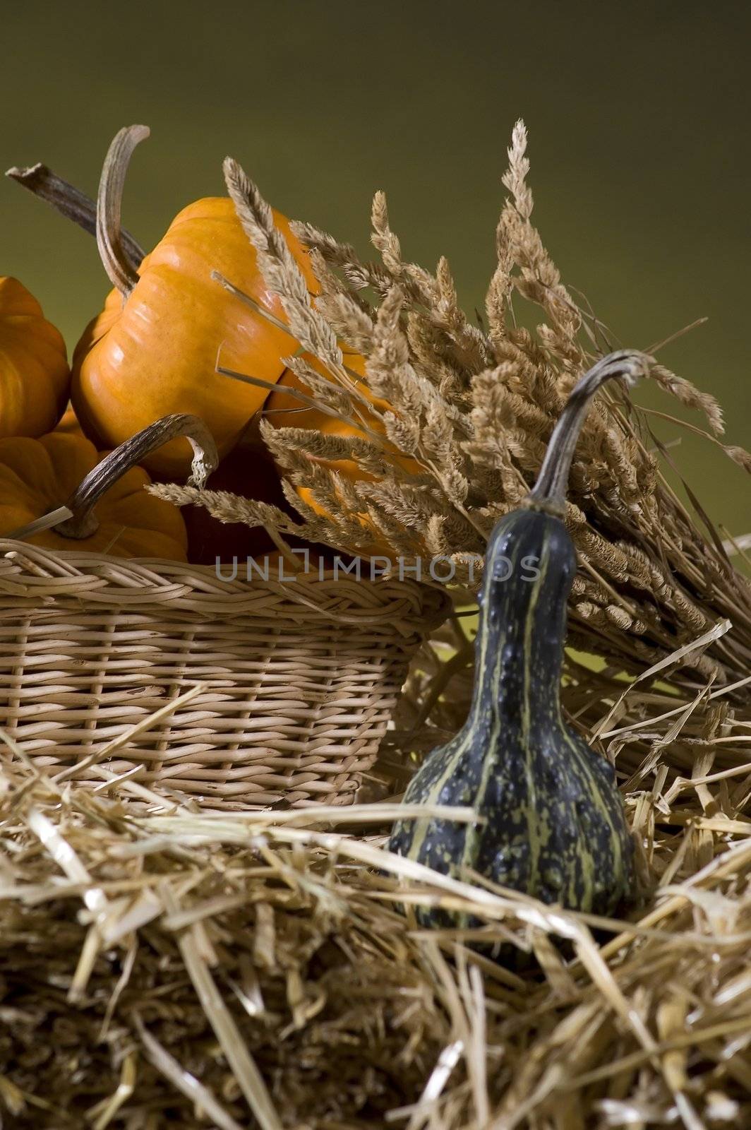 arrangement of squash and corn on a haystack