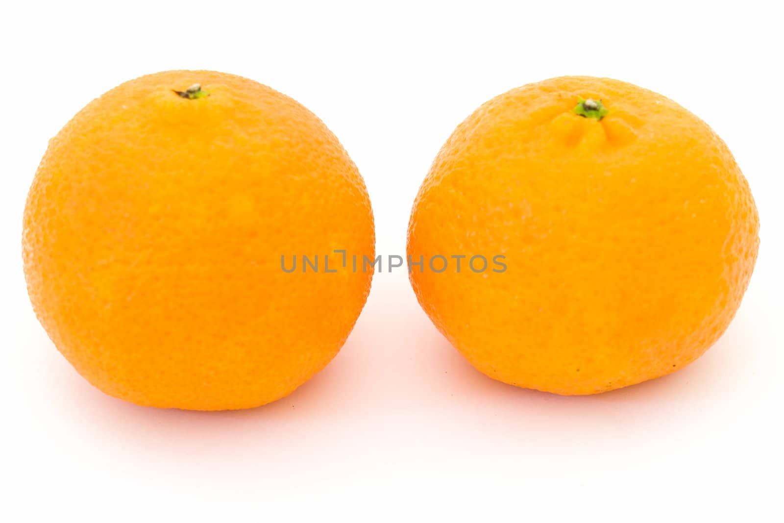 Two big tangerines on a white background