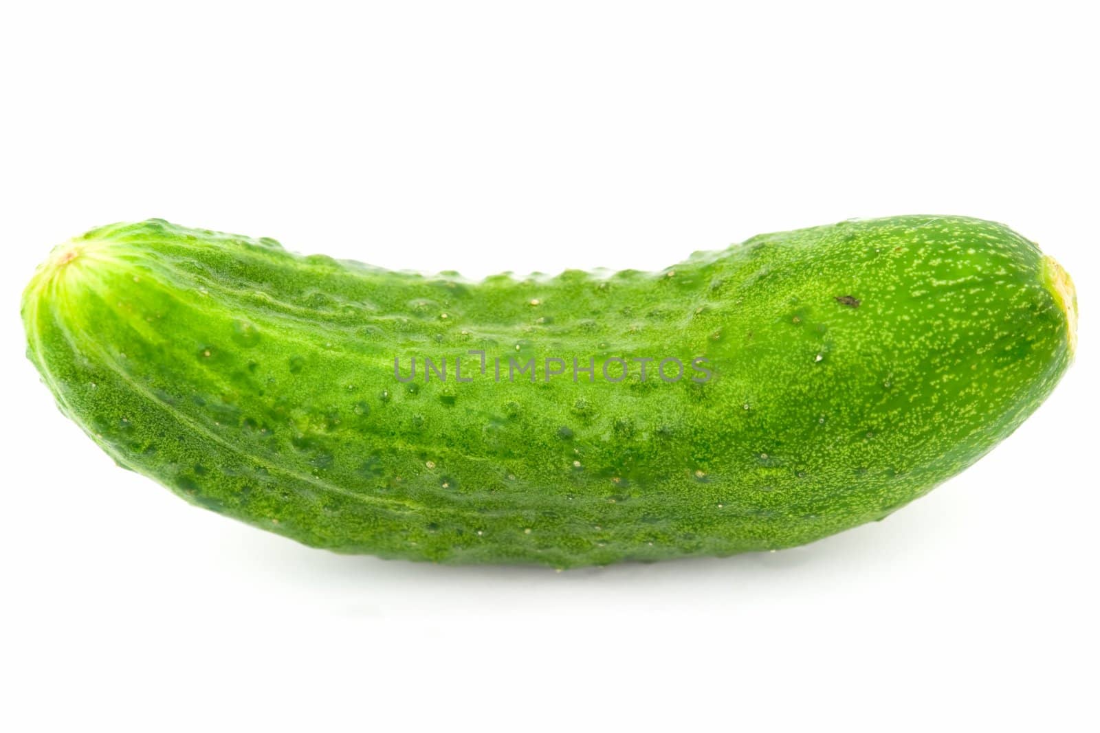 One green cucumber on a white background.