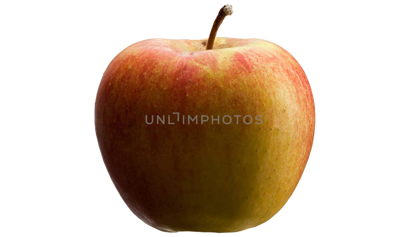 Natural multicoloured apple isolated on white background.