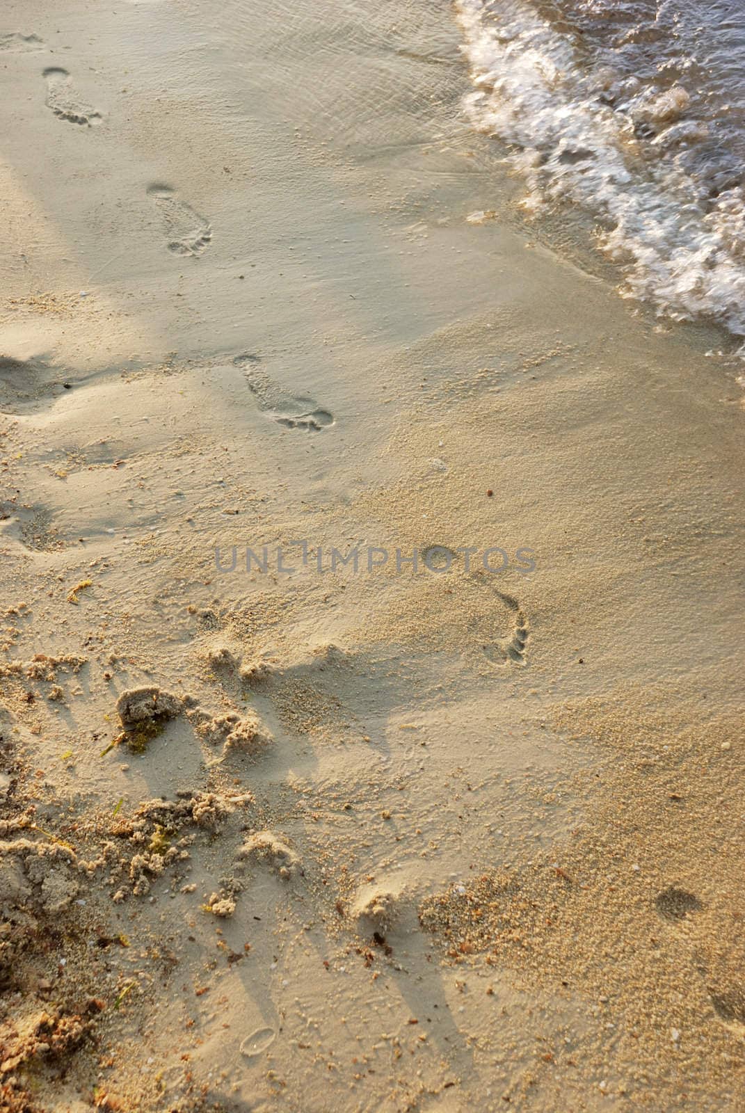 fotprints in a sand on a beach