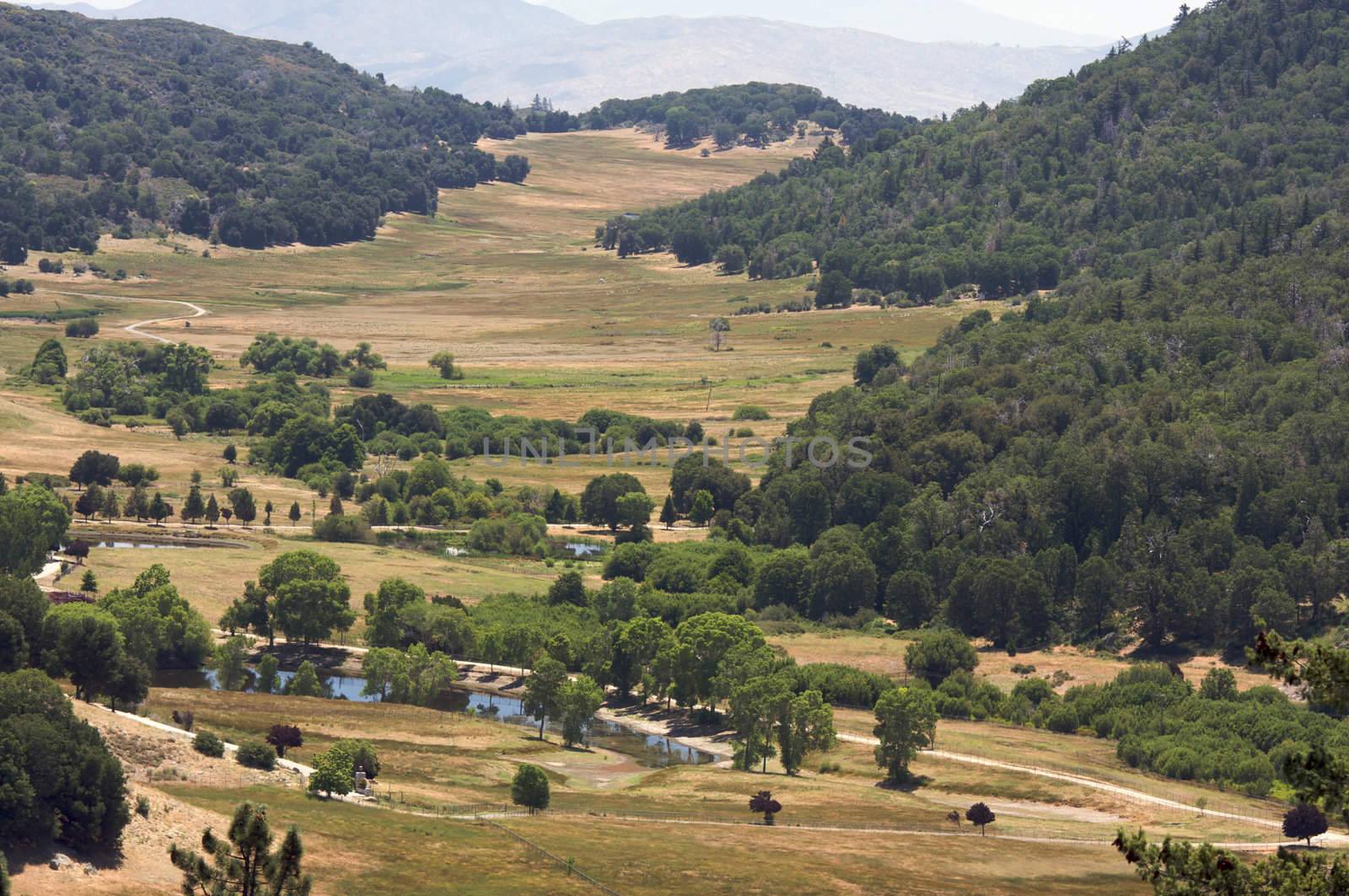 The Valley View in California on a summer day.
