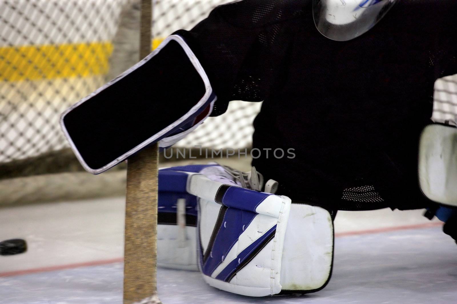 Image of a puck making it past a goalie.
