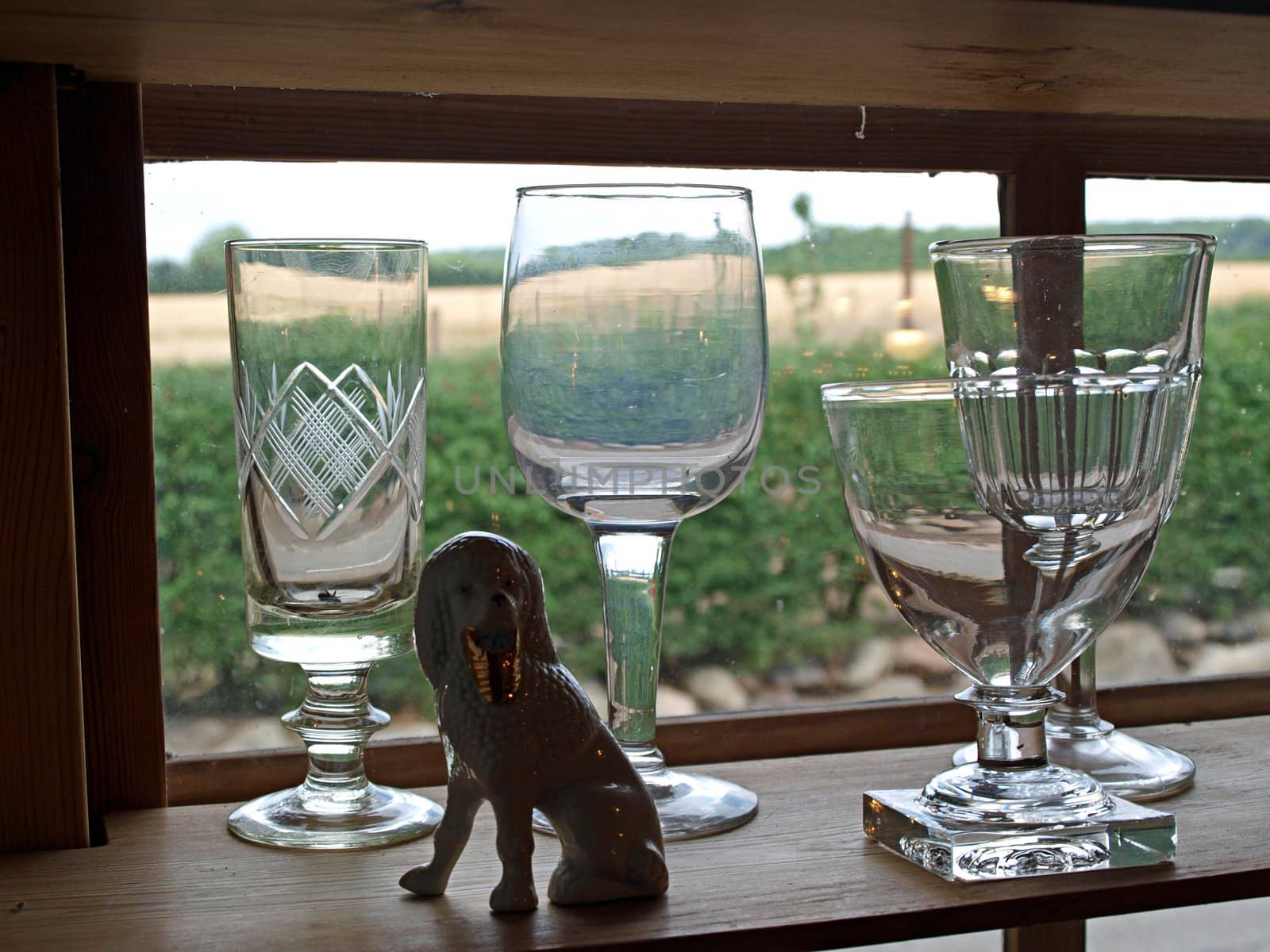 Beautiful decorative wineglasses on display by Ronyzmbow