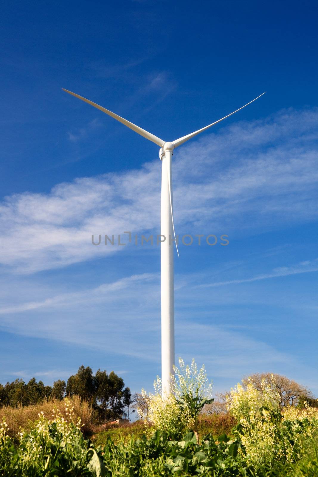 Wind Turbine by Iko