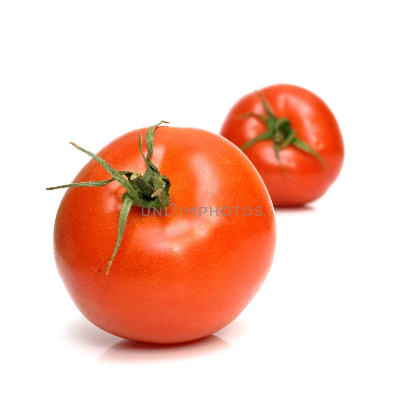 Two juicy fresh tomatoes on white. Isolation.