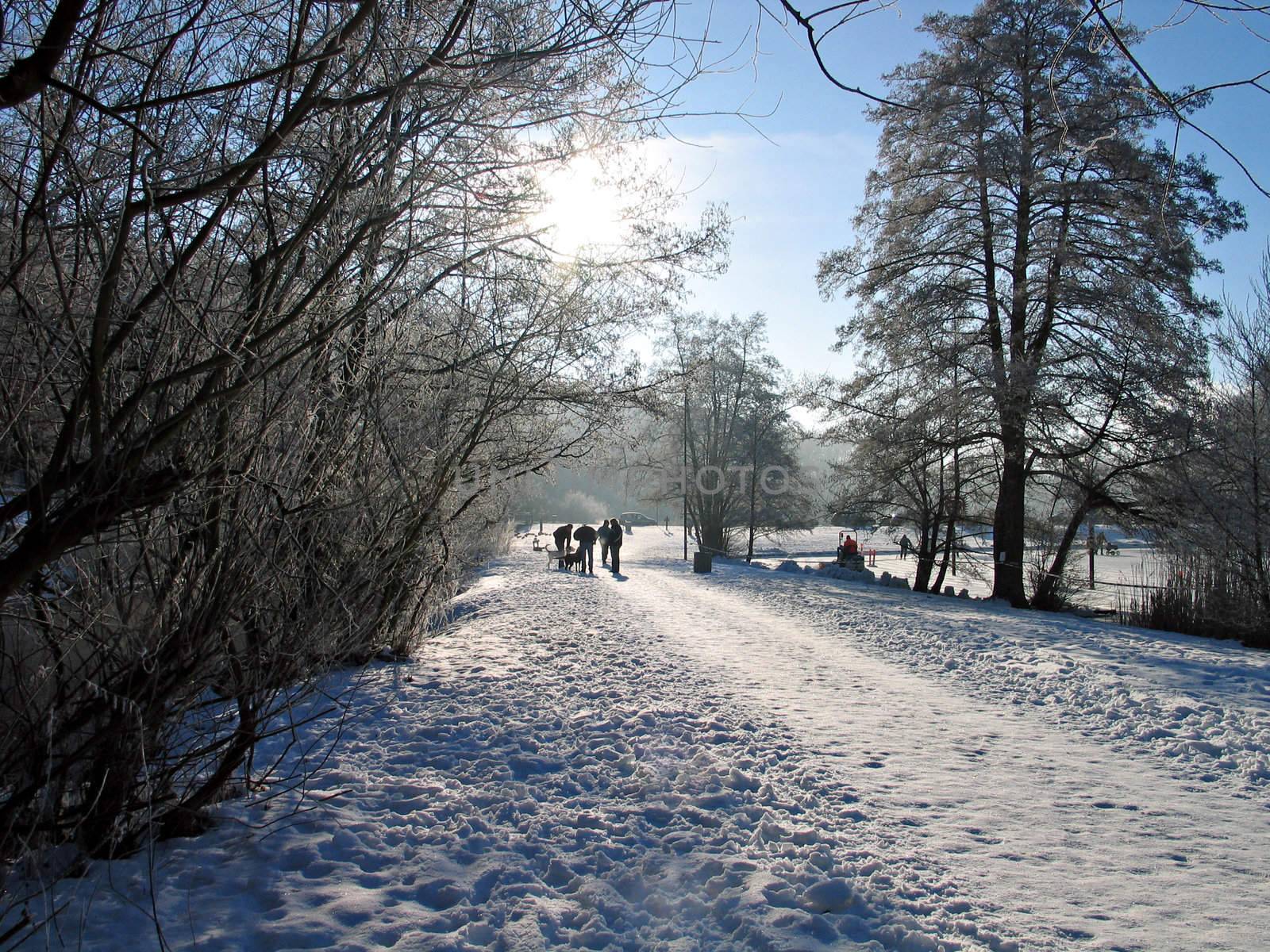 City park of Odende Denmark full of snow in the winter