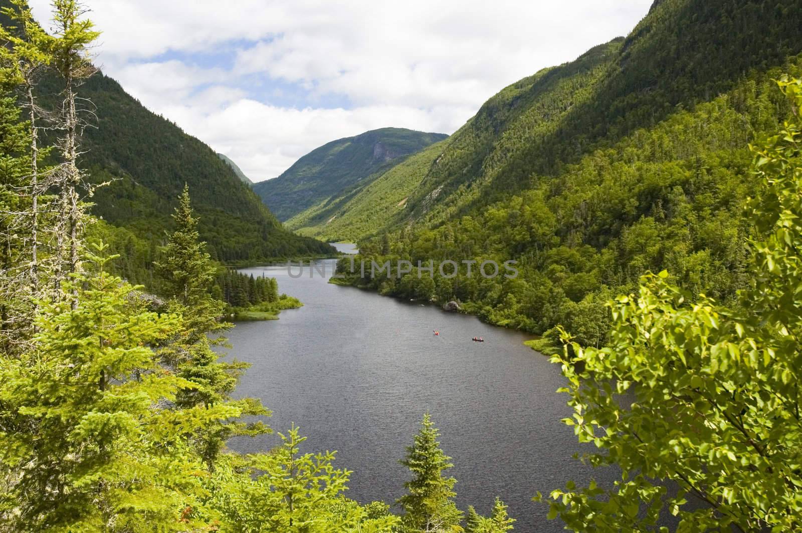 Beautiful landscape with mountains river and forest