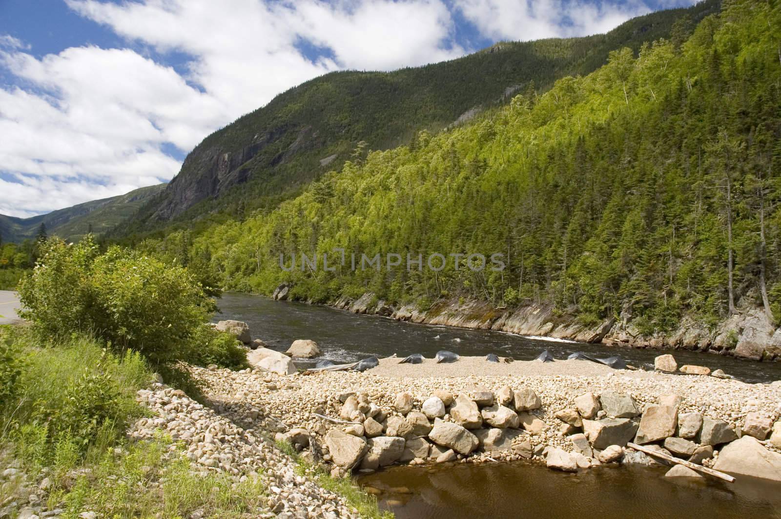Beautiful landscape with mountains river and forest