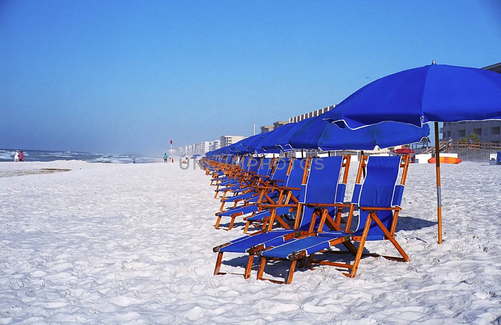 Long Rows of Beach Chairs by namdlo