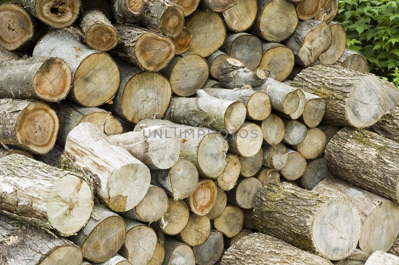 Logs by vladikpod