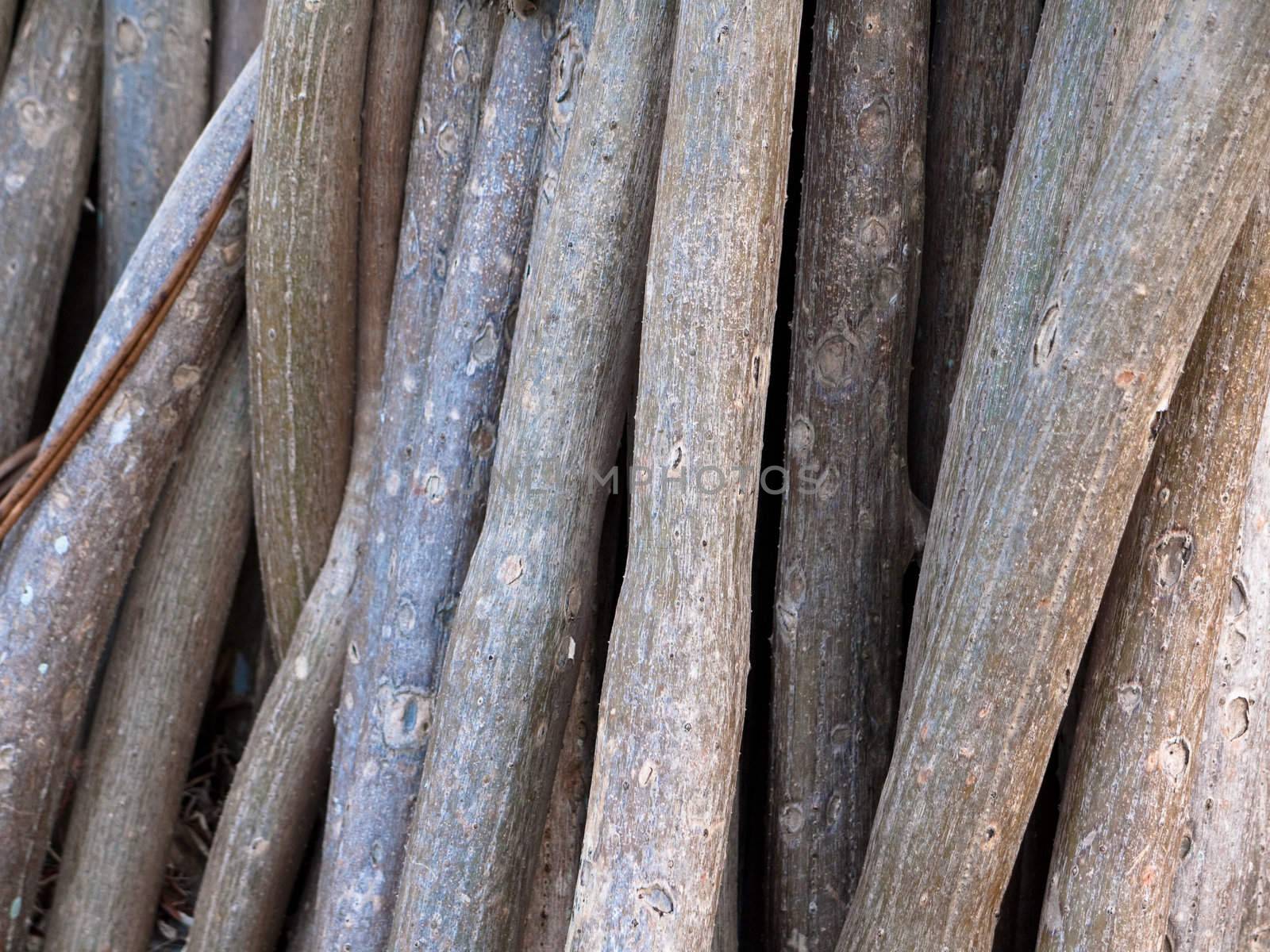 Wood tree limbs nice background