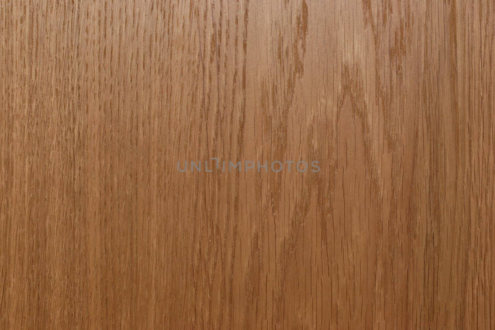 Background of  real oak wood texture - evenly lit