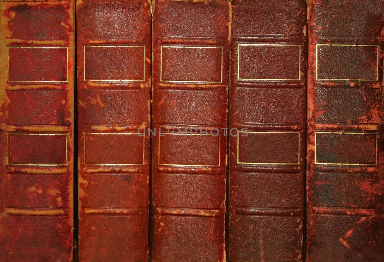 Old books with blank spines