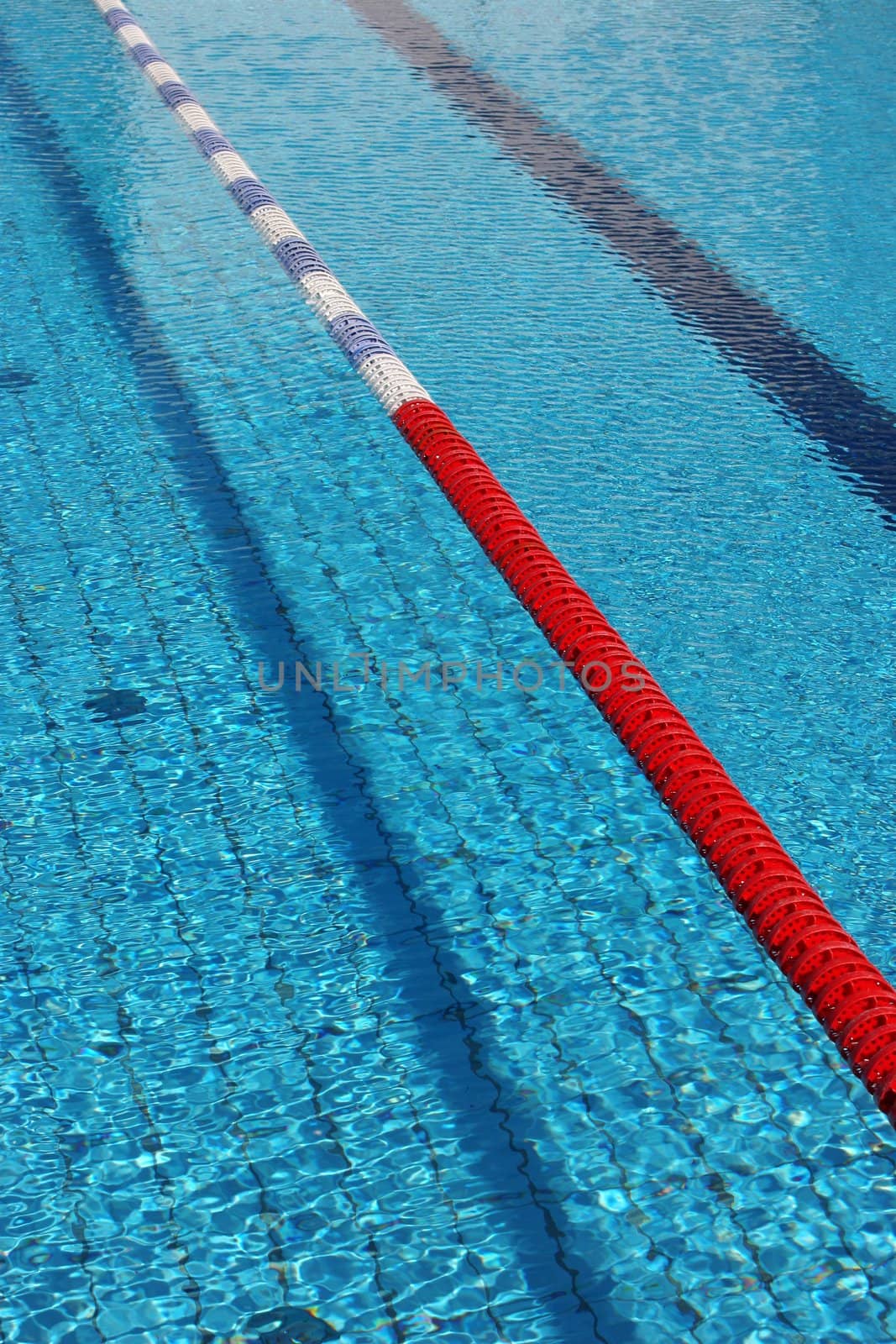 Swimming lanes in an official size swimming pool