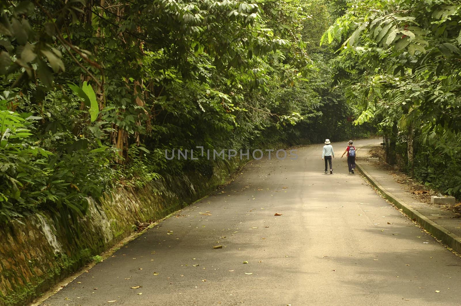 two people having their walk early in the morning at park