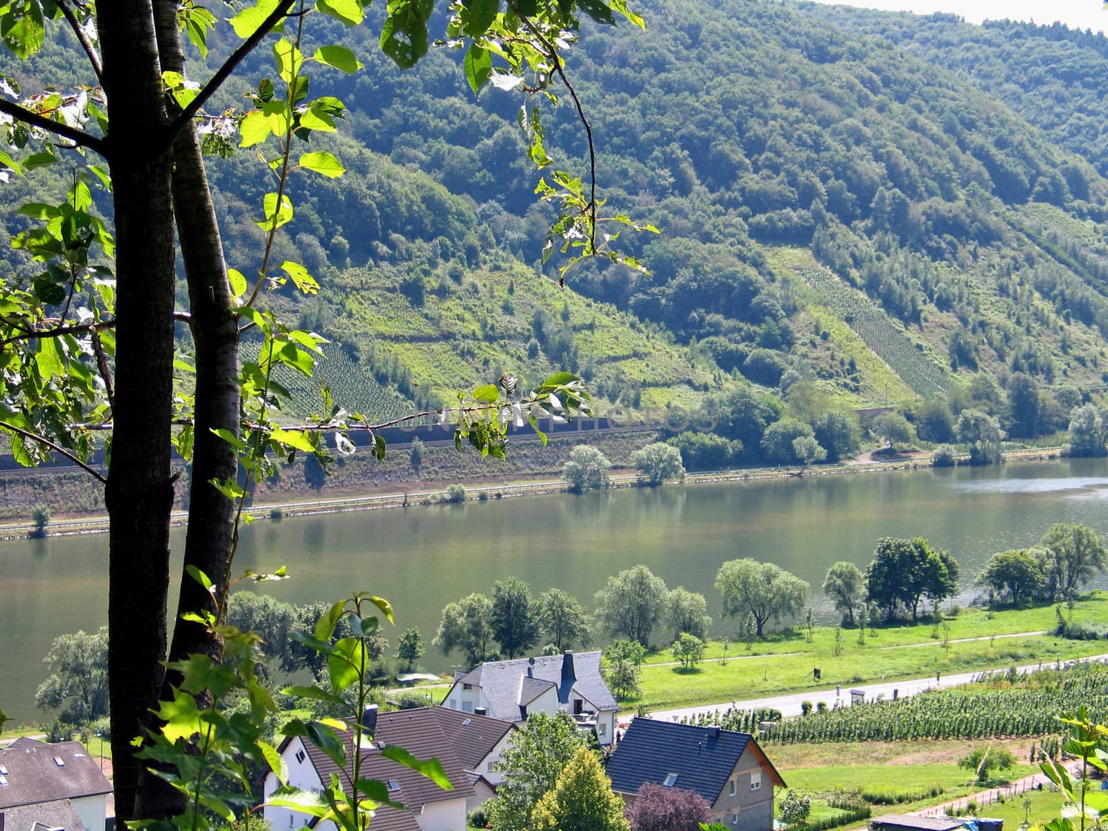 River Mosel Germany by Ronyzmbow