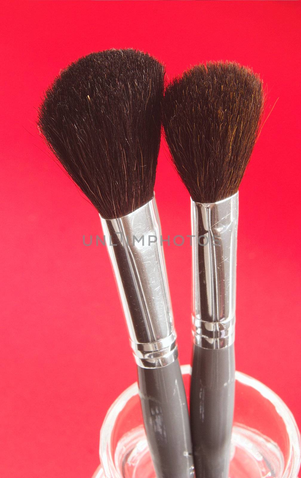 makeup brushes by leafy